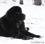 Превью фото № 22150