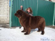 Превью фото № 221594