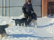 Превью фото № 221636