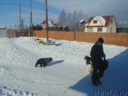 Превью фото № 221637