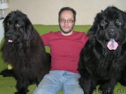 Превью фото № 221663