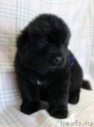 Превью фото № 221772