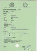 Превью фото № 221829