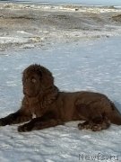 Превью фото № 221873