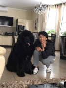 Превью фото № 221923