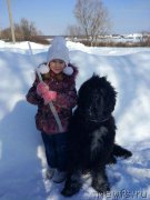 Превью фото № 221930