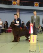 Превью фото № 221992