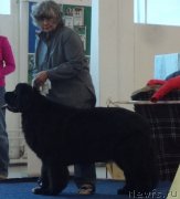 Превью фото № 221998