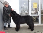 Превью фото № 221999