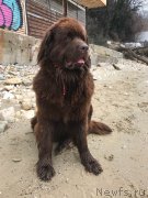 Превью фото № 222029