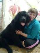 Превью фото № 222030