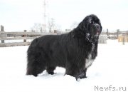 Превью фото № 222050