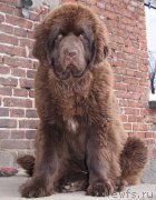 Превью фото № 222061