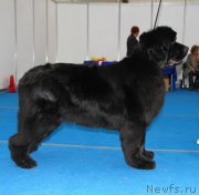 Превью фото № 222144