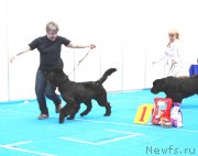 Превью фото № 222148