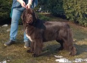 Превью фото № 222194