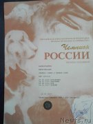 Превью фото № 222210