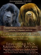 Превью фото № 222231