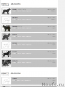 Превью фото № 222255