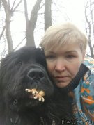 Превью фото № 222390