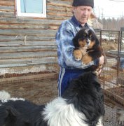 Превью фото № 222393