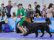 Превью фото № 222435