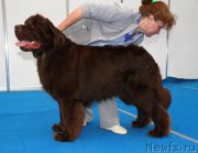 Превью фото № 222459