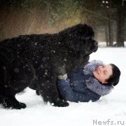 Превью фото № 222475