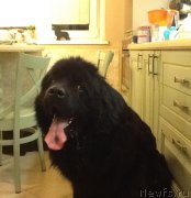 Превью фото № 222505