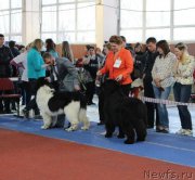 Превью фото № 222510