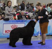 Превью фото № 222522