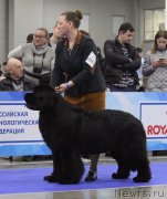 Превью фото № 222524
