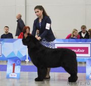 Превью фото № 222525