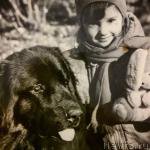 Превью фото № 222592