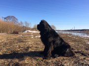 Превью фото № 222631