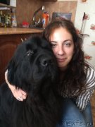 Превью фото № 222707