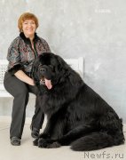 Превью фото № 222717