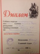 Превью фото № 222733