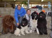 Превью фото № 222741