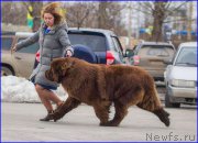 Превью фото № 222781