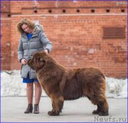 Превью фото № 222782