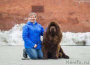 Превью фото № 222790