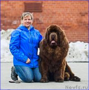 Превью фото № 222791