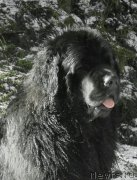 Превью фото № 222816