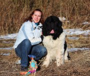 Превью фото № 222840