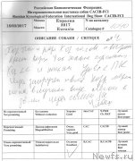 Превью фото № 223005