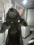 Превью фото № 223079