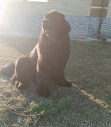 Превью фото № 223084