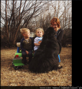 Превью фото № 223088