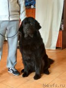 Превью фото № 223105